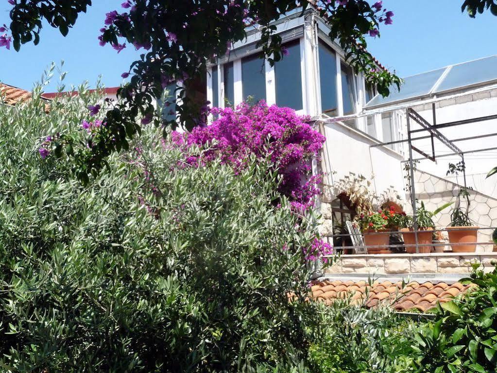 Villa Tania Hvar Town Eksteriør billede